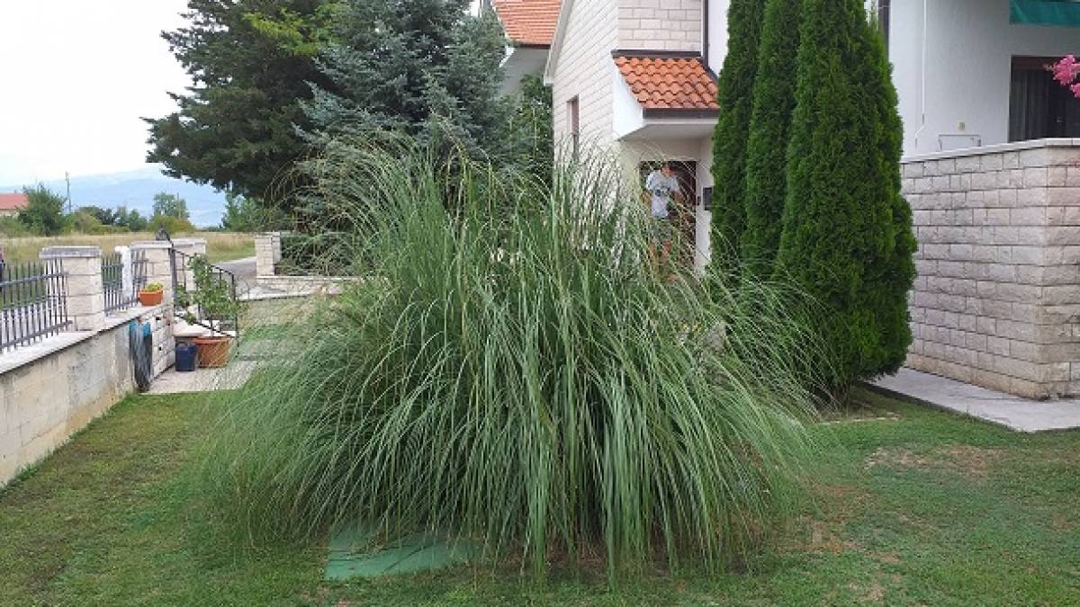 Izabrana najljep&scaron;a okućnica triljskog kraja 2020.